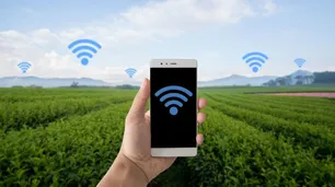Cuáles son los riesgos de conectarse al Wi-Fi público