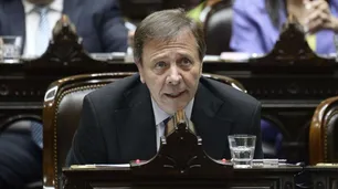 Oscar Zago: "Bullrich manifestó estar en contra con la línea oficial con Discapacidad y eso hizo estallar la interna libertaria"