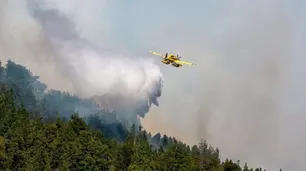 Feroz incendio intencional en El Bolsón: más de cien hectáreas fueron afectadas y hay un detenido