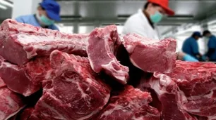 Tras los anuncios de Javier Milei en La Rural, aseguran que "el ganadero va a apostar a producir más kilos de carne”