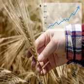 El trigo se dispara por la guerra y la menor oferta global: ¿cambian los planes de siembra de los productores argentinos?