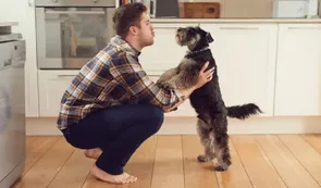 Los perros pueden comprender palabras y asociarlas con emociones, según un estudio