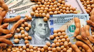 El dólar soja 2 terminó con una liquidación de US$ 3.400 millones