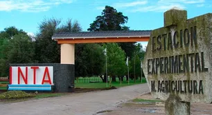 Desde Córdoba, voces del INTA advierten sobre el impacto de la reforma en el interior del país