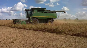 Las trituradoras de soja argentinas están más cerca de poder exportar a China