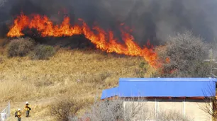 Los incendios afectan a 500 mil hectáreas productivas en provincias del norte