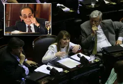Pese a su reaparición, diputados K ratificaron que Fayt "debe someterse a examen"