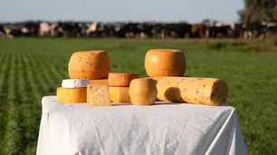 Córdoba arrasa en los premios a los mejores quesos, dulce de leche y manteca de Argentina