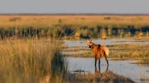 Ya hay un nuevo Parque Nacional para la Argentina