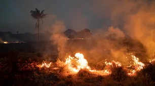 El Amazonas en conflicto: Bancos, multinacionales y ONGs se alían contra la política de Bolsonaro