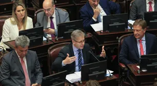 Las propuestas de los senadores radicales para cambiar artículos de la Ley de Bases