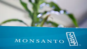 Una revista académica reveló la intervención de Monsanto en estudios
