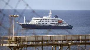 Hantavirus en el fin del mundo: científicos buscan la cepa Andes en ratones de Ushuaia tras tres muertes en un crucero