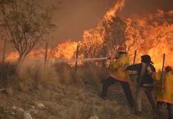 El ministro Sergio Bergman pierde poder: el Gobierno le quitó el manejo de los incendios