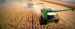 Argentina necesita un proyecto Vaca Viva