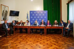 Senadores del NEA impulsan una tarifa eléctrica diferenciada con rebajas de hasta el 50%