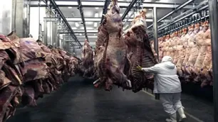 Falta de novillos: “Se necesita producir más ganado para abastecer tanto al mercado interno como al externo”