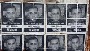 Mató a su amante porque no quiso abortar: le dieron prisión perpetua
