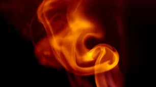 Alimentar el fuego