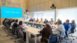 La Pampa reclama eliminar la barrera sanitaria para exportar carne con hueso al resto de la Patagonia