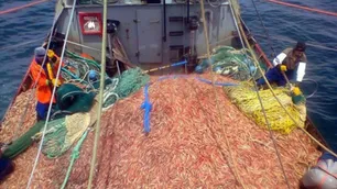 Trabajadores de la pesca dejarán de pagar Ganancias por adicionales