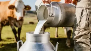 El Gobierno anunció que la producción láctea logró en el 2025 su segundo mejor rendimiento histórico