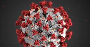 Impacto del virus en el psiquismo