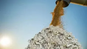 Leve caída en la liquidación de divisas del agro: “2.495 millones de dólares ingresados, 1% menos contra el mes anterior”