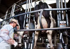 Coninagro realizará su Congreso Internacional con el foco en las políticas para el campo