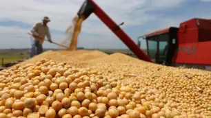 El campo es uno de los sectores menos perjudicados por la pandemia