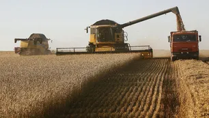 Dólares del campo: a pesar de la baja de las retenciones, el agro aportaría un 25% más en el primer semestre