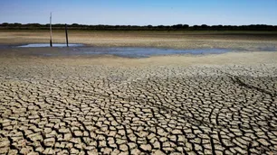 Invertir en agua puede ser un buen negocio