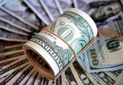 Buteler sobre la baja del dólar: "No hay que olvidarse que a principio de año estaba a 70 pesos"