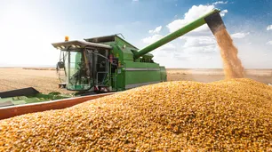 Comenzó la siembra de maíz en la zona núcleo y se espera la mayor producción en 15 años