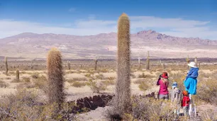 Parque Nacional Los Cardones, un destino para disfrutar la primavera en la provincia de Salta