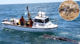 Utilizan imágenes satelitales para detectar la presencia de residuos plásticos en el Mar Argentino