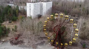 Por la exposición a la radiación, los perros en Chernobyl son genéticamente distintos
