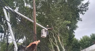 Cortes masivos de luz en el AMBA por el temporal: cuáles son las zonas más afectadas