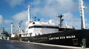 Video | Un gigantesco carguero chocó contra un muelle en Santa Fe
