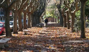 Llega el invierno: el Servicio Meteorológico Nacional anticipó que habrá temperaturas superiores a la media en junio