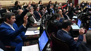 Senado: el kirchnerismo logró aprobar la creación de un fondo para pagarle al FMI con dólares fugados