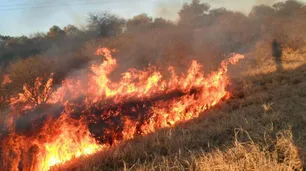 Incendios en Argentina: llegaron los primeros focos a Mendoza y Santiago del Estero
