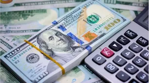 Blanqueo de capitales: quiénes podrían ingresar de manera gratuita