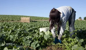 Qué es la reforma agraria y dónde fue aplicada