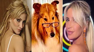 Las visitas polémicas a la Quinta de Olivos: los casos de Sofía Pacchi, el adiestrador de Dylan y los actores