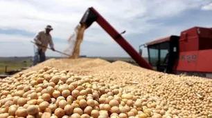 Para Achetoni, la suspensión de exportaciones "puede ser una retención encubierta"
