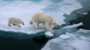 Siberia también arde en llamas por la falta de hielo en el Artico