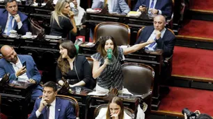 Diputados anuló el decreto que frenaba la Ley de Emergencia en Discapacidad