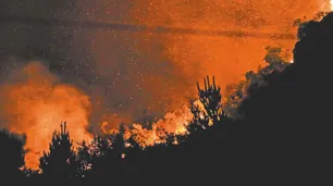 Incendios forestales en Chubut: Greenpeace criticó la "absoluta inacción preventiva" de las autoridades