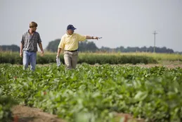 Encuesta SEA CREA: qué expectativas tienen los empresarios del agro